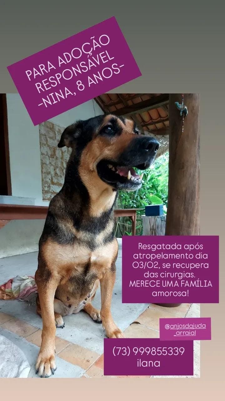 Foto de Nina
