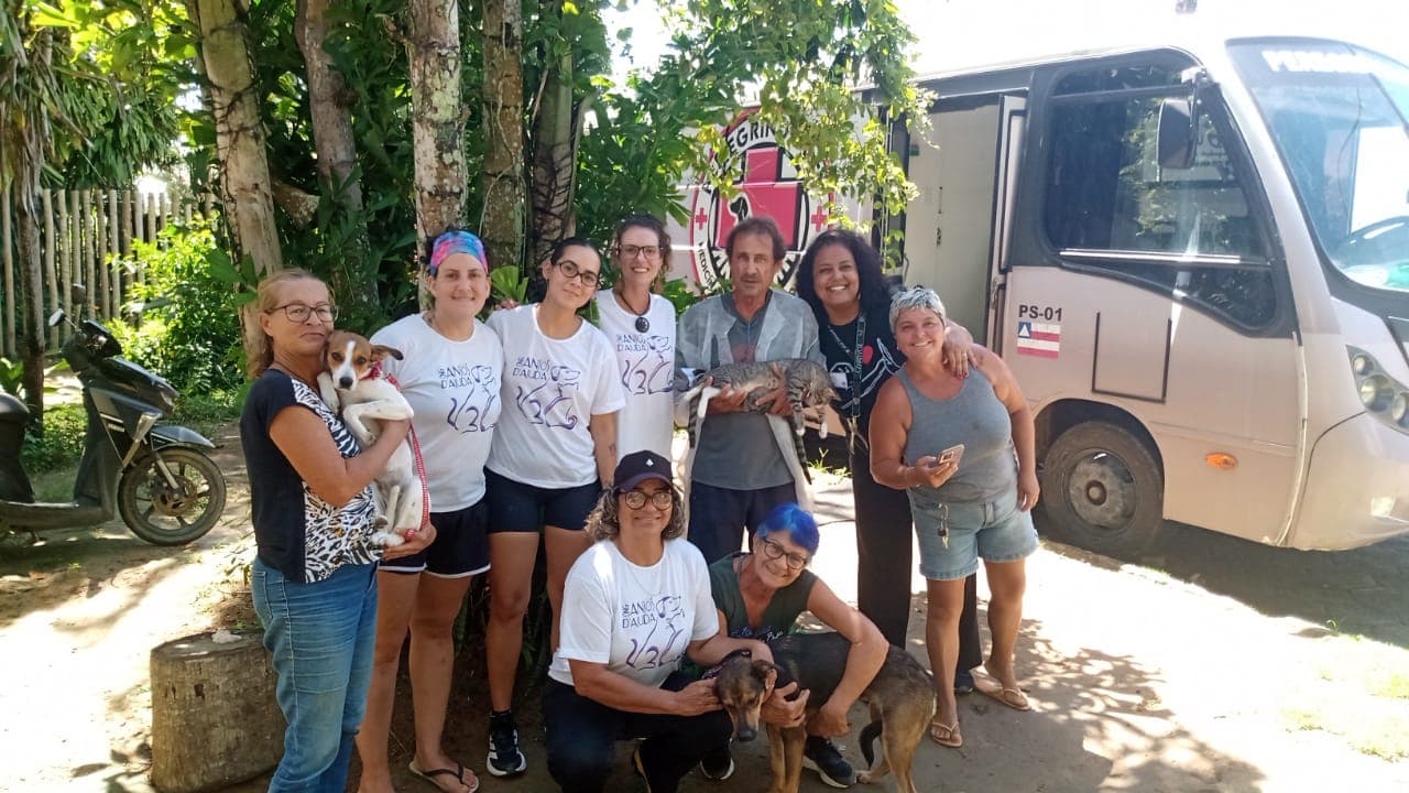 Voluntários da Anjos d'Ajuda em mutirão de castração em Arraial d'Ajuda